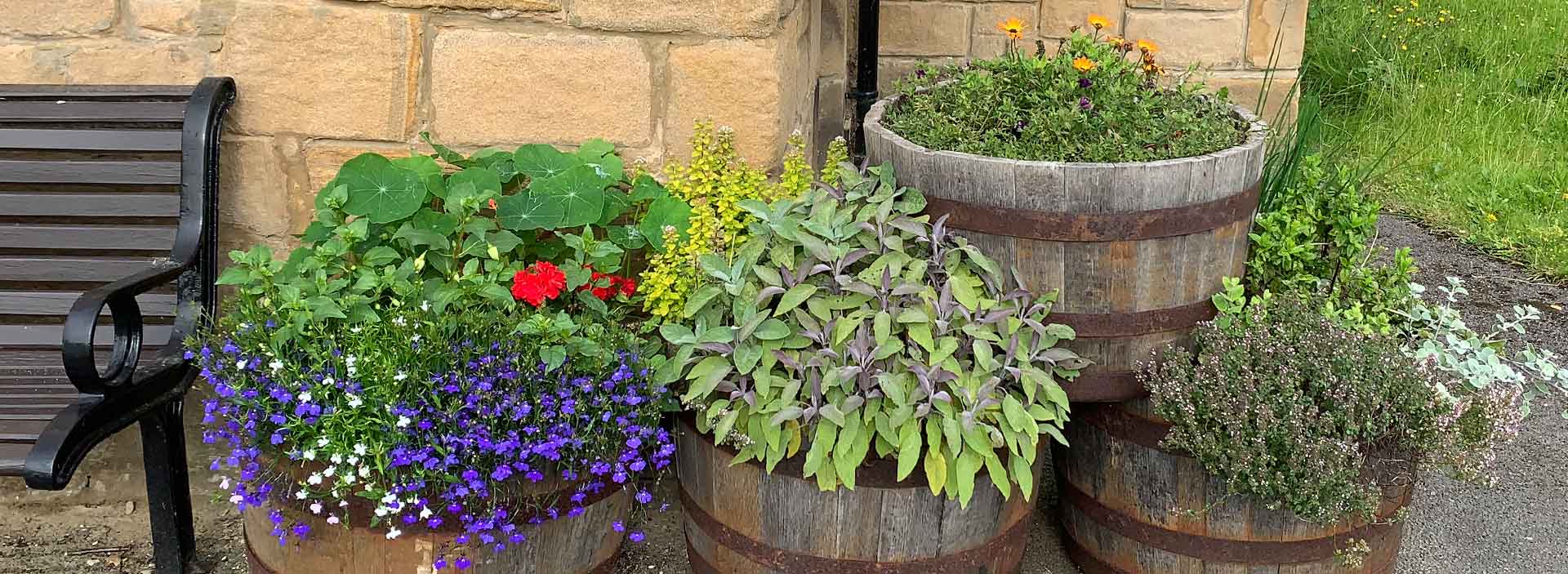 aerial view of Walbottle Village in spring